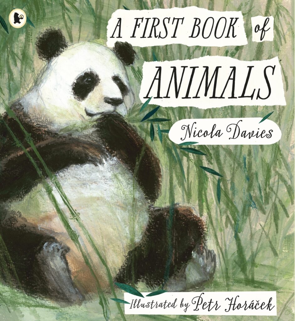 First Book of Animals