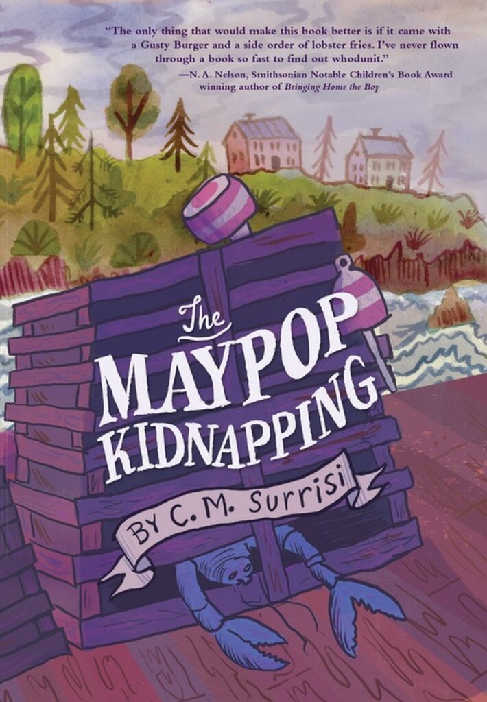 Quinnie Boyd Mystery: The Maypop Kidnapping