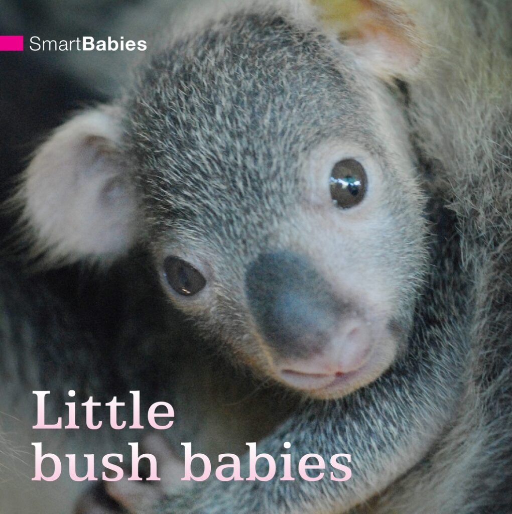 Smart Babies: Little Bush Babies