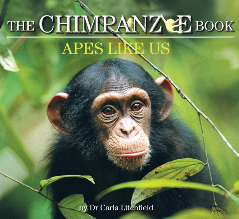 Chimpanzee Book: Apes Like Us
