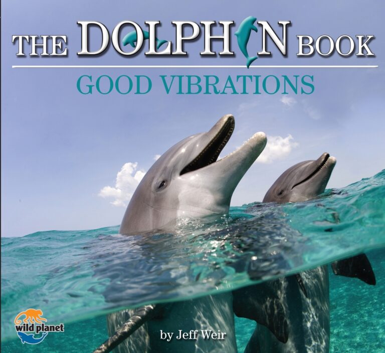 Dolphin Book: Good Vibrations