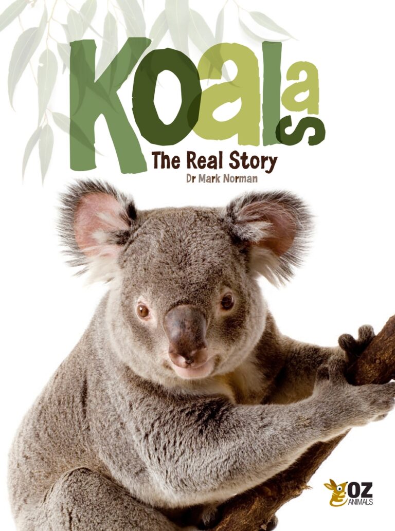 Koalas: The Real Story