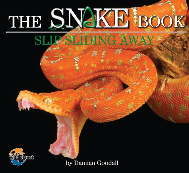 Snake Book: Slip Sliding Away