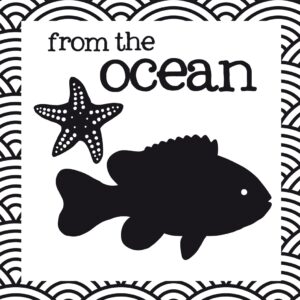 Crinkly Book of Aussie Animals: From the Ocean