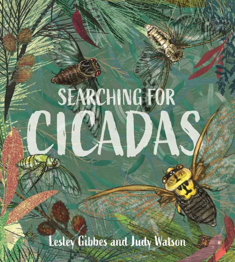 Searching for Cicadas