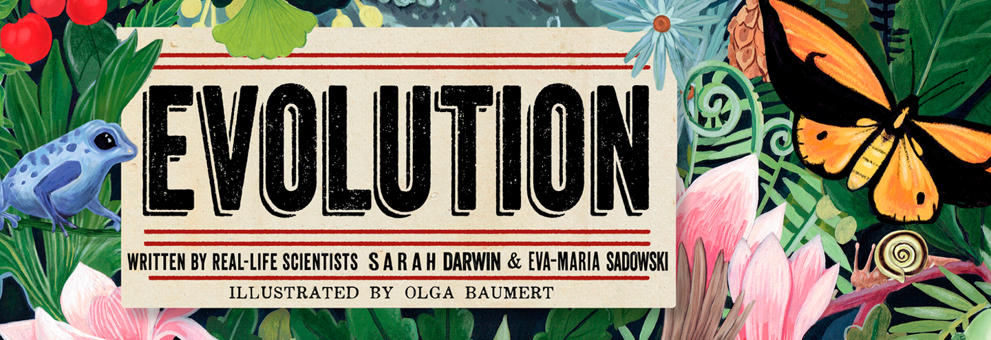 Evolution web banner